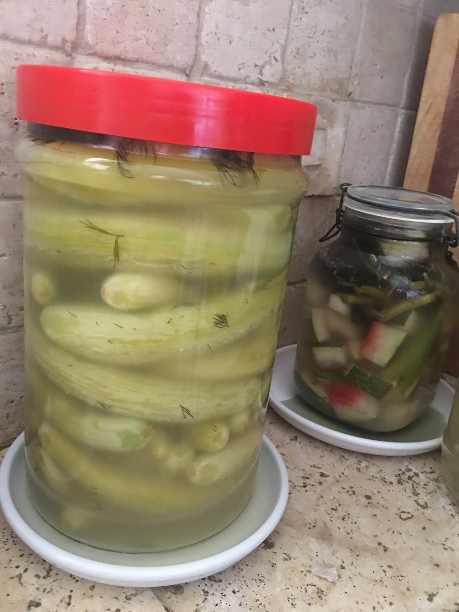 קישואים מוחמצים Courgette Dill Pickles